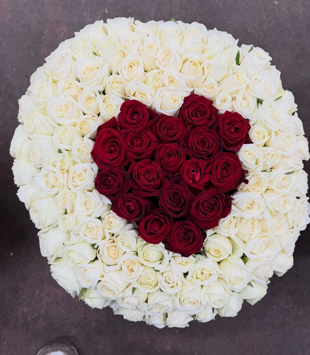 Luxerions boxes alphabet