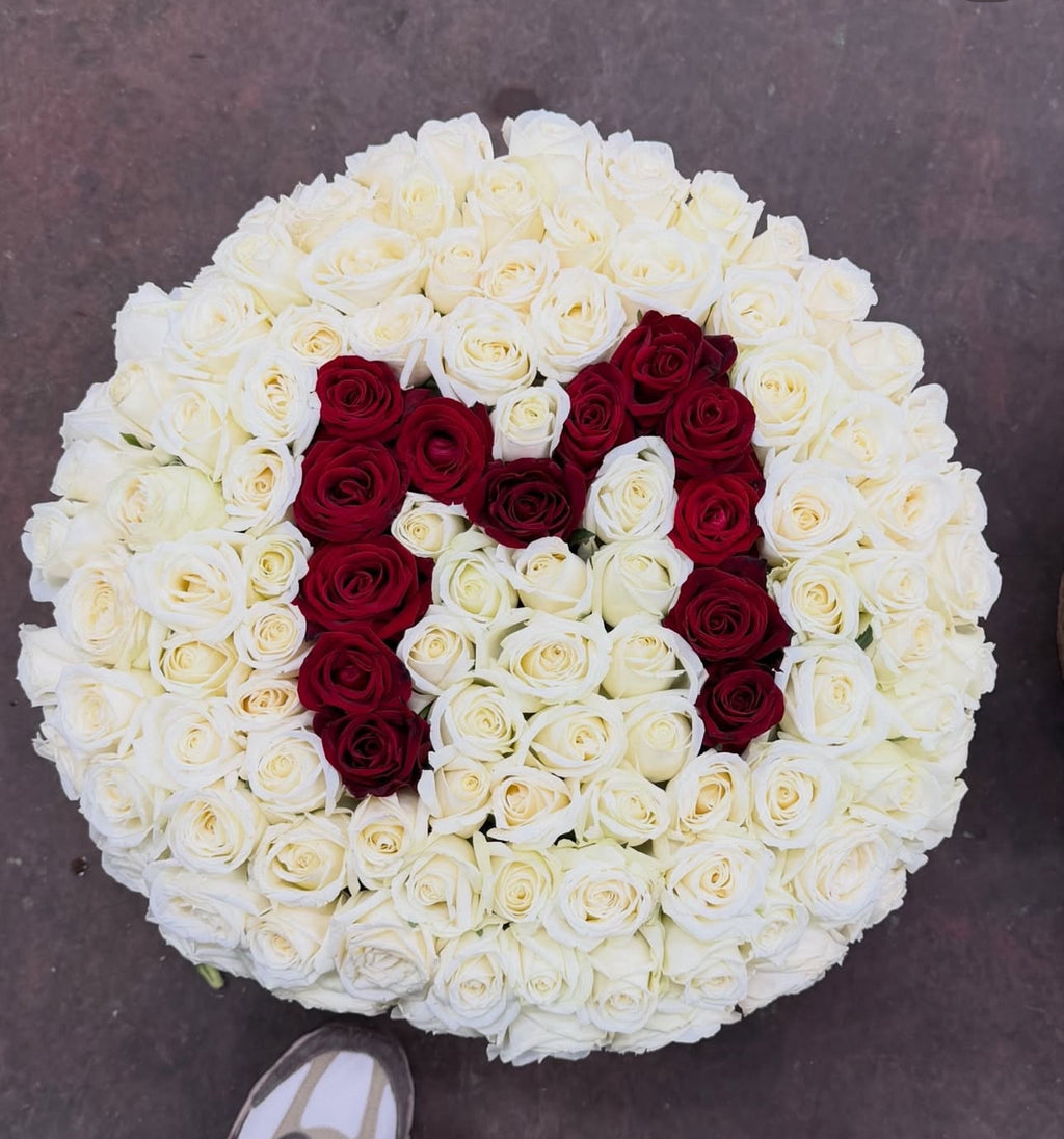 Luxerions boxes alphabet