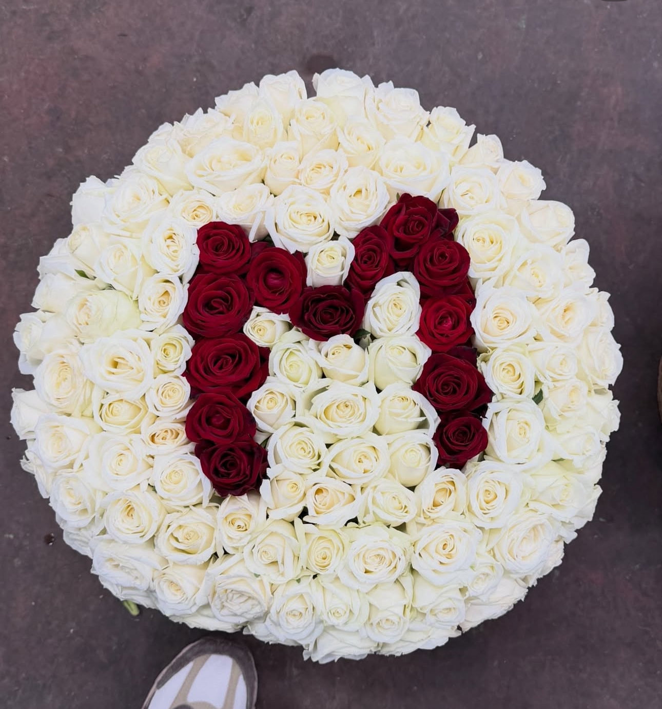 Luxerions boxes alphabet