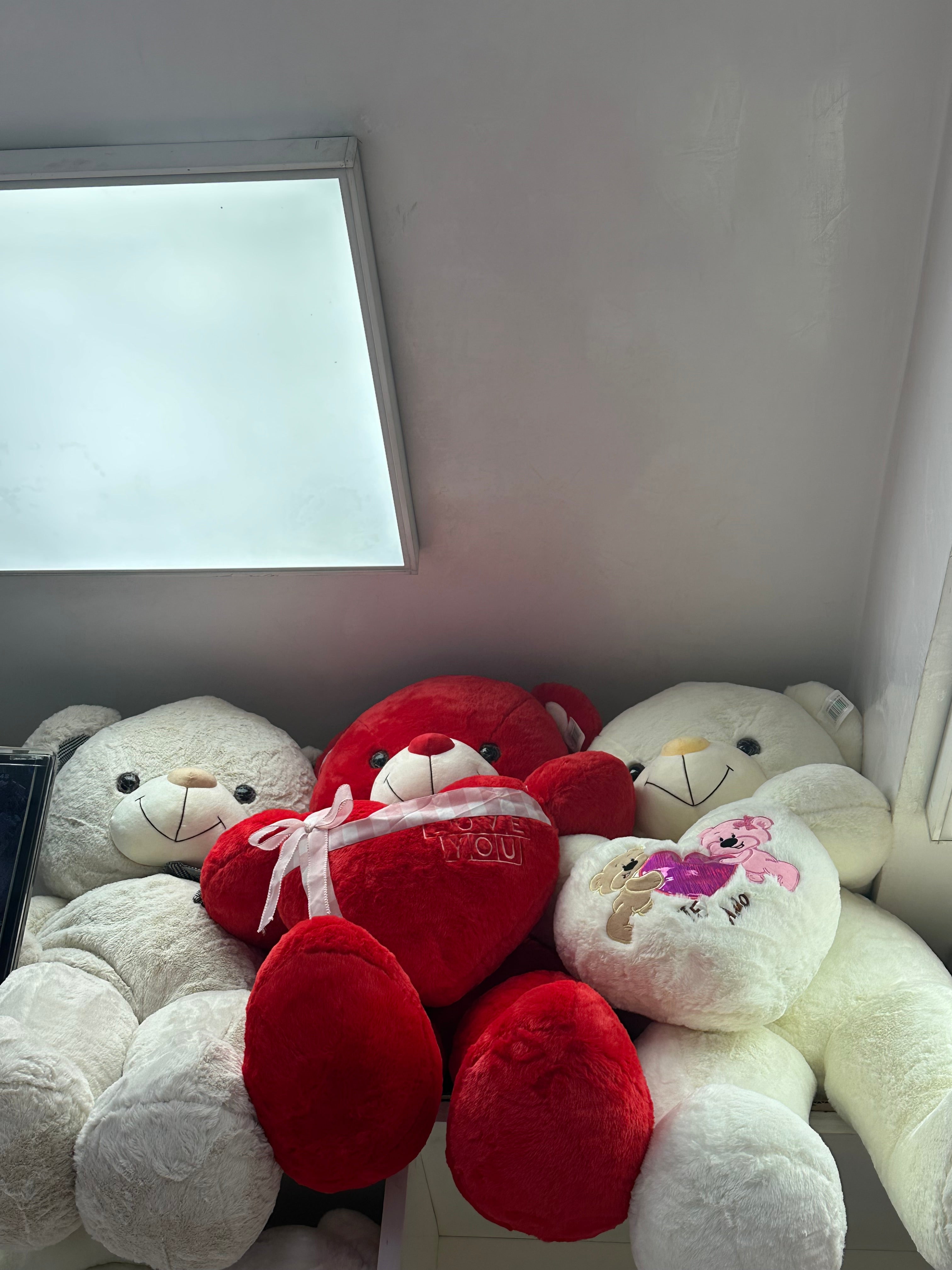 Teddy (L) 🧸